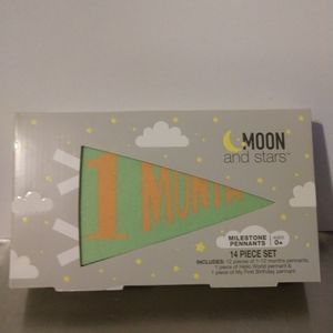 Milestone Pennants 14 piece set